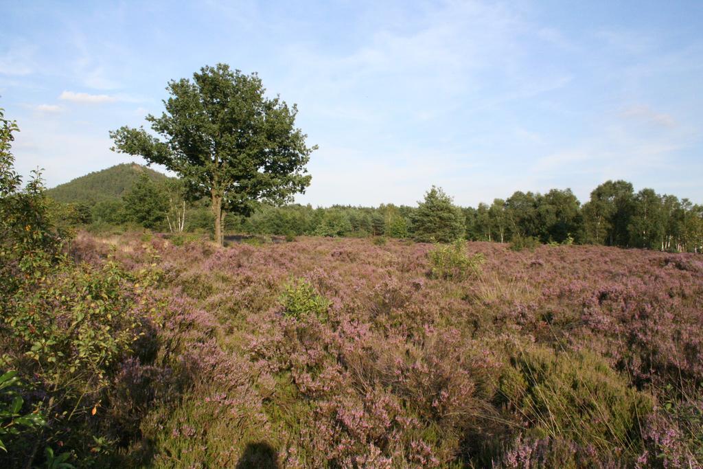 B&B Crijbohoeve Zutendaal Extérieur photo